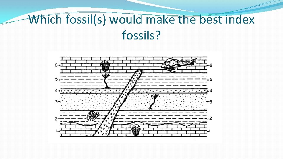 Best index are the fossils 