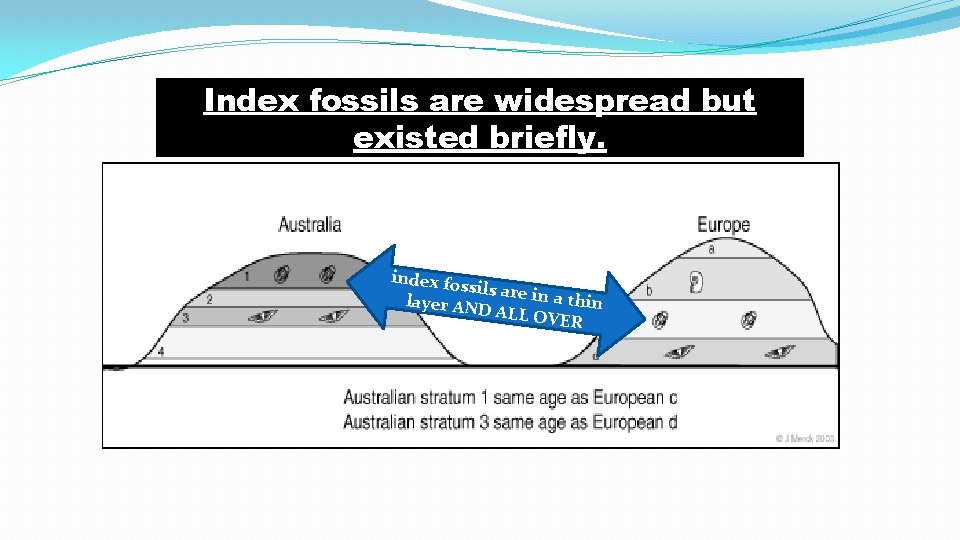 Index fossils are widespread but existed briefly. index fos sils are in a th Index fossils are widespread but existed briefly. index fos sils are in a th