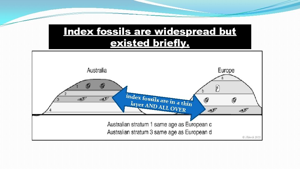Index fossils are widespread but existed briefly. index fos sils are in a th Index fossils are widespread but existed briefly. index fos sils are in a th