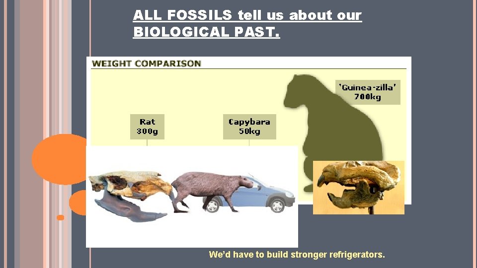 ALL FOSSILS tell us about our BIOLOGICAL PAST. We’d have to build stronger refrigerators. ALL FOSSILS tell us about our BIOLOGICAL PAST. We’d have to build stronger refrigerators.
