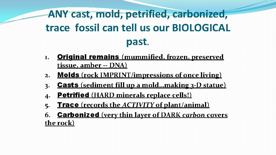 ANY cast, mold, petrified, carbonized, trace fossil can tell us our BIOLOGICAL past. Original ANY cast, mold, petrified, carbonized, trace fossil can tell us our BIOLOGICAL past. Original