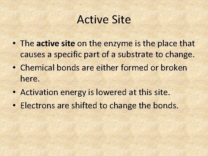 Active Site • The active site on the enzyme is the place that causes