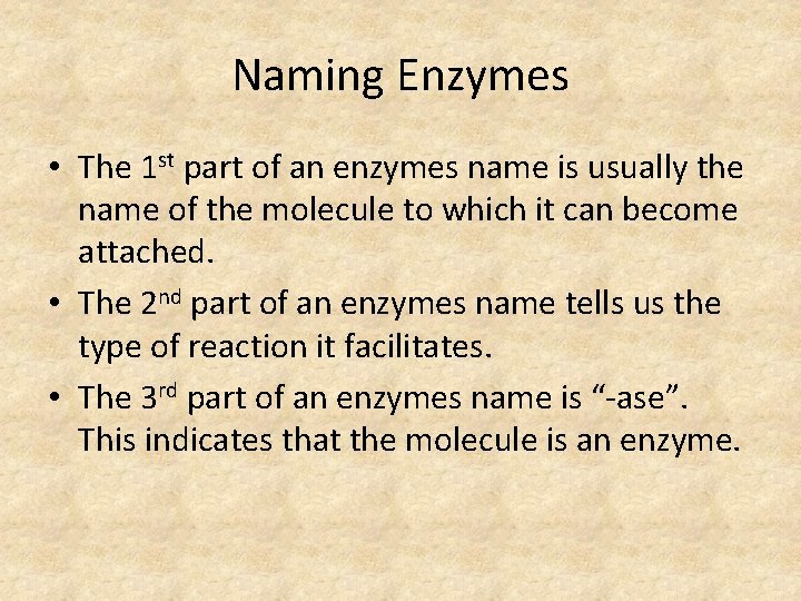 Naming Enzymes • The 1 st part of an enzymes name is usually the