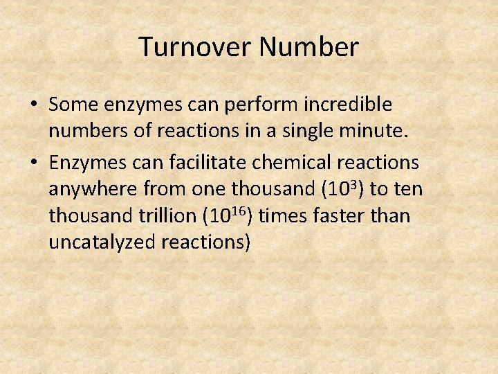 Turnover Number • Some enzymes can perform incredible numbers of reactions in a single