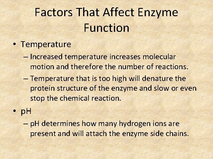 Factors That Affect Enzyme Function • Temperature – Increased temperature increases molecular motion and