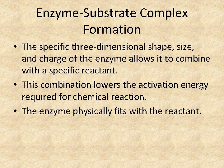 Enzyme-Substrate Complex Formation • The specific three-dimensional shape, size, and charge of the enzyme