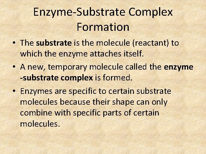 Enzyme-Substrate Complex Formation • The substrate is the molecule (reactant) to which the enzyme