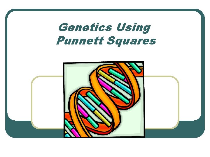 Genetics Using Punnett Squares 