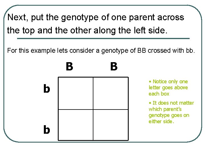 Next, put the genotype of one parent across the top and the other along