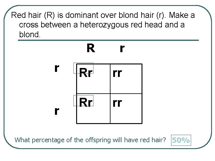 Red hair (R) is dominant over blond hair (r). Make a cross between a