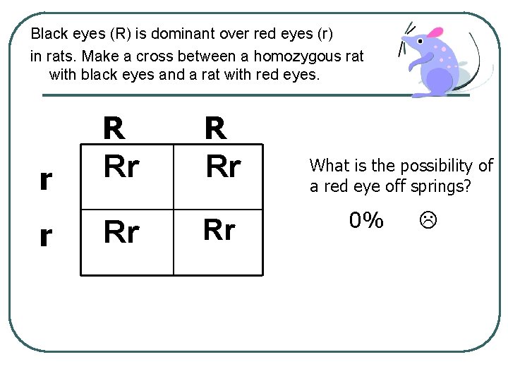 Black eyes (R) is dominant over red eyes (r) in rats. Make a cross