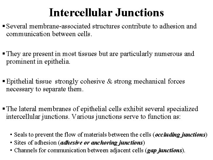 Intercellular Junctions § Several membrane-associated structures contribute to adhesion and communication between cells. §