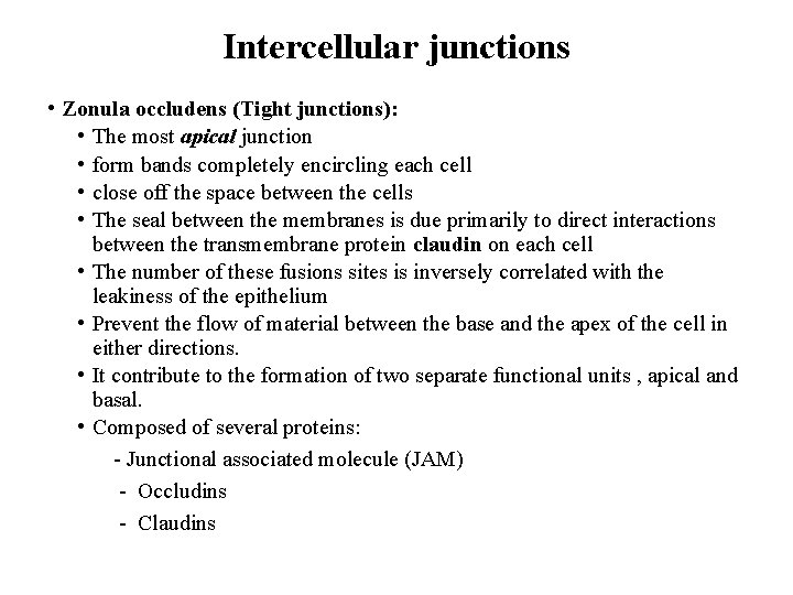 Intercellular junctions • Zonula occludens (Tight junctions): • The most apical junction • form
