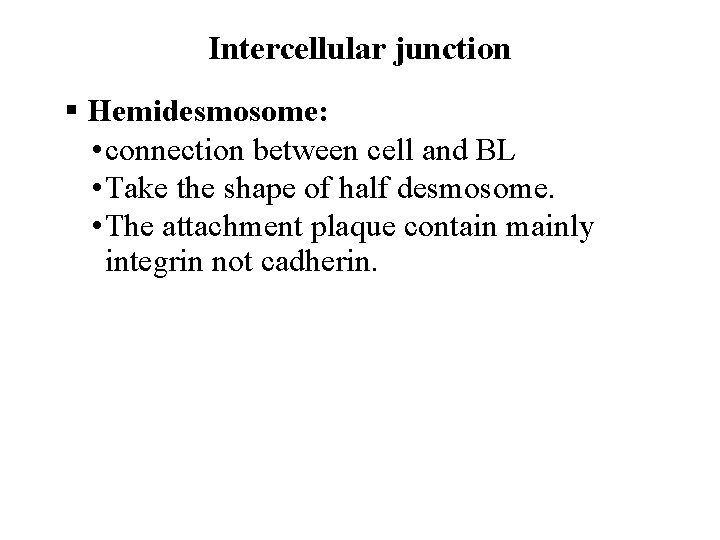 Intercellular junction § Hemidesmosome: • connection between cell and BL • Take the shape