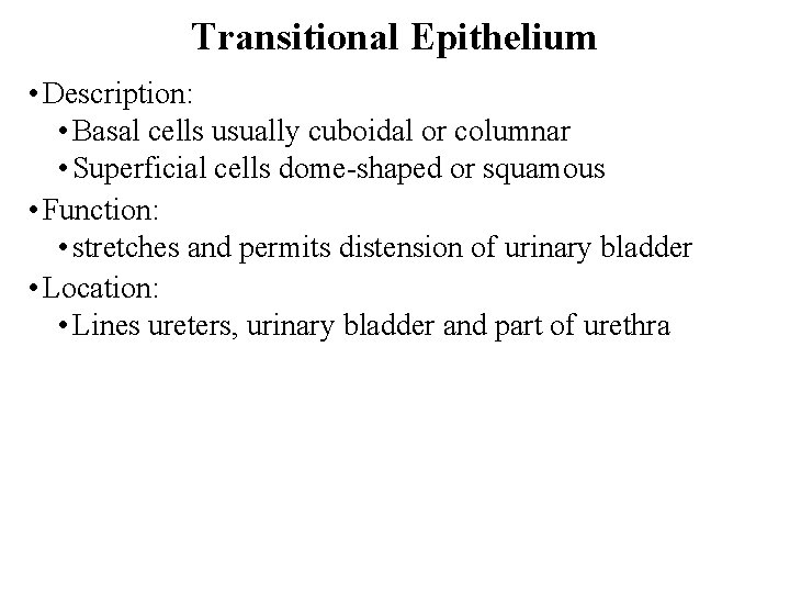Transitional Epithelium • Description: • Basal cells usually cuboidal or columnar • Superficial cells