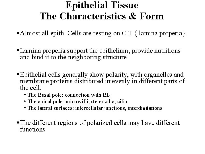 Epithelial Tissue The Characteristics & Form § Almost all epith. Cells are resting on