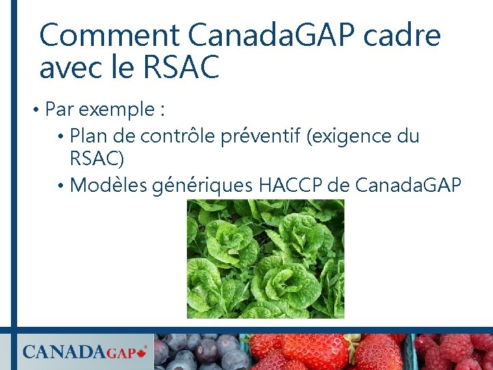 Comment Canada. GAP cadre avec le RSAC • Par exemple : • Plan de Comment Canada. GAP cadre avec le RSAC • Par exemple : • Plan de