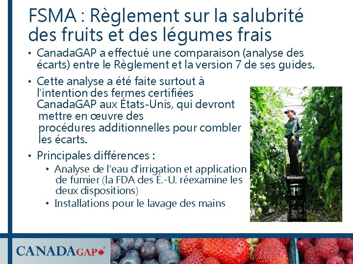 FSMA : Règlement sur la salubrité des fruits et des légumes frais • Canada. FSMA : Règlement sur la salubrité des fruits et des légumes frais • Canada.