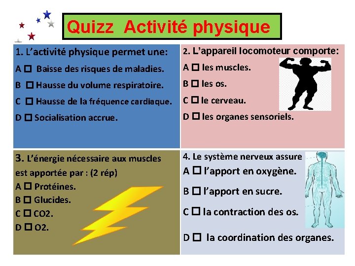 Quizz Activité physique 1. L’activité physique permet une: 2. L’appareil locomoteur comporte: A Baisse