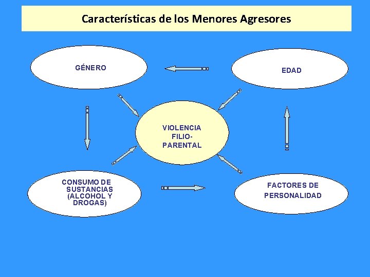 Características de los Menores Agresores GÉNERO EDAD VIOLENCIA FILIOPARENTAL CONSUMO DE SUSTANCIAS (ALCOHOL Y