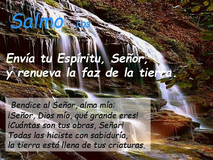 Salmo 103 Envía tu Espíritu, Señor, y renueva la faz de la tierra. Bendice