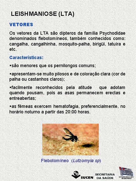 LEISHMANIOSE (LTA) VETORES Os vetores da LTA são dípteros da família Psychodidae denominados flebotomíneos,