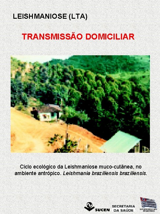 LEISHMANIOSE (LTA) TRANSMISSÃO DOMICILIAR Ciclo ecológico da Leishmaniose muco-cutânea, no ambiente antrópico. Leishmania braziliensis.