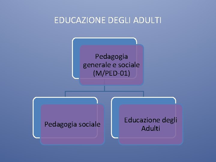 EDUCAZIONE DEGLI ADULTI Pedagogia generale e sociale (M/PED-01) Pedagogia sociale Educazione degli Adulti 