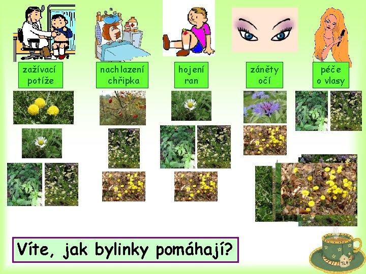 zažívací potíže nachlazení chřipka hojení ran Víte, jak bylinky pomáhají? záněty očí péče o