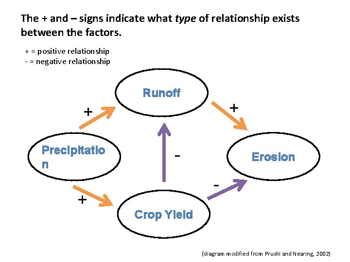 The + and – signs indicate what type of relationship exists between the factors.