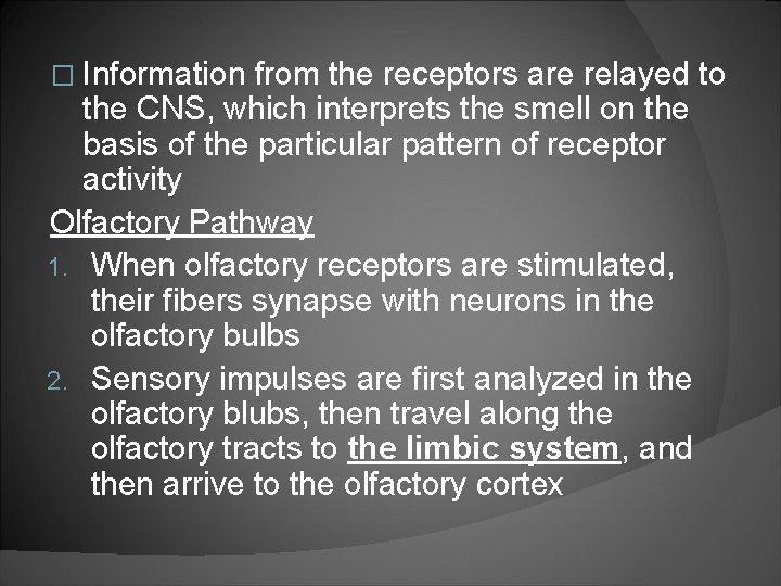 � Information from the receptors are relayed to the CNS, which interprets the smell