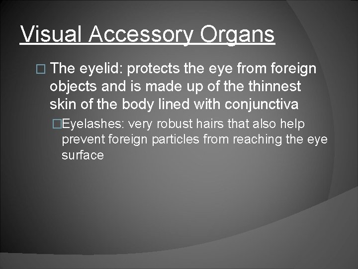 Visual Accessory Organs � The eyelid: protects the eye from foreign objects and is