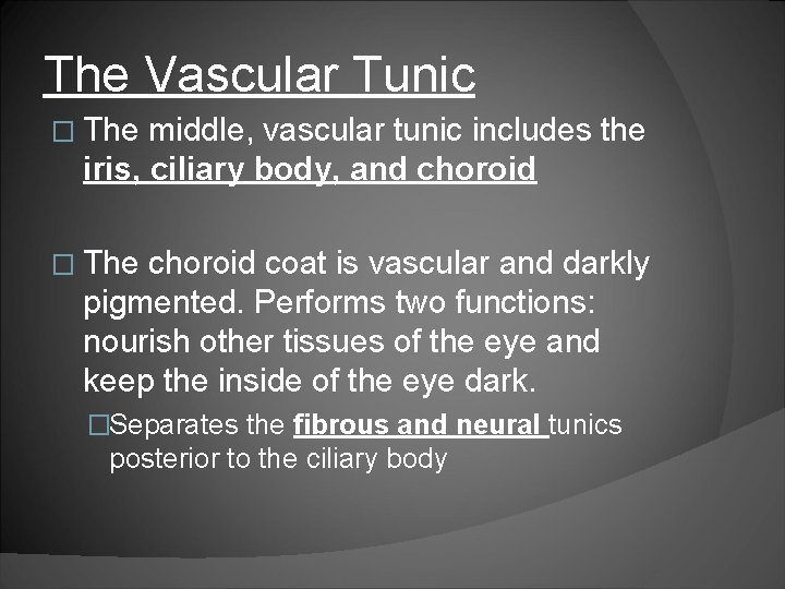 The Vascular Tunic � The middle, vascular tunic includes the iris, ciliary body, and