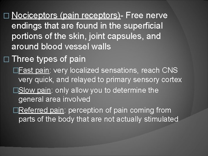 � Nociceptors (pain receptors)- Free nerve endings that are found in the superficial portions