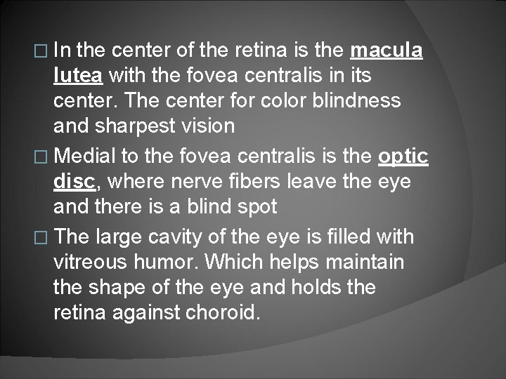 � In the center of the retina is the macula lutea with the fovea