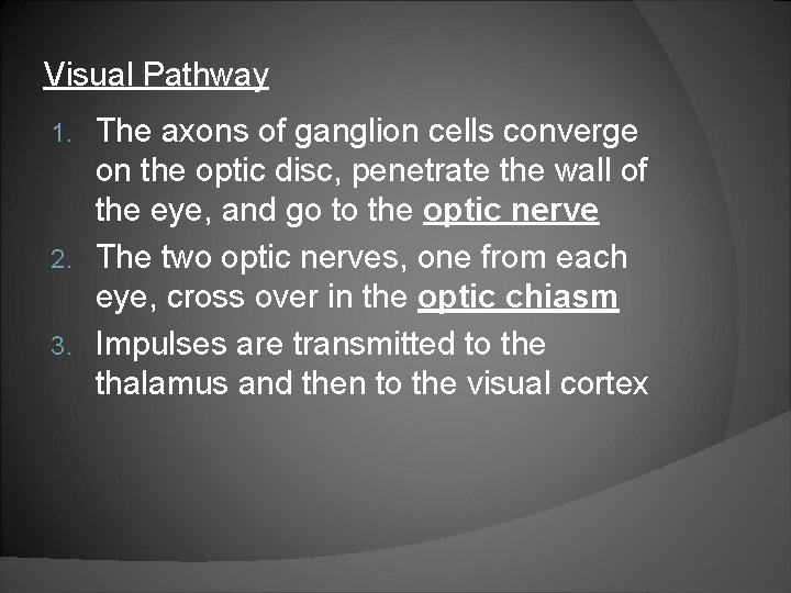 Visual Pathway The axons of ganglion cells converge on the optic disc, penetrate the