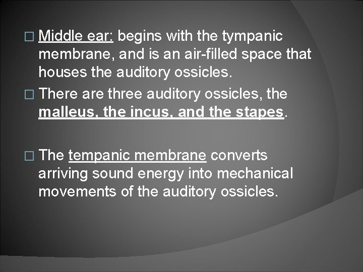 � Middle ear: begins with the tympanic membrane, and is an air-filled space that