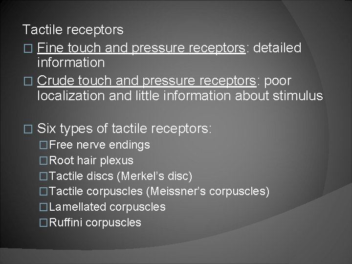 Tactile receptors � Fine touch and pressure receptors: detailed information � Crude touch and