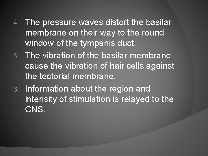 The pressure waves distort the basilar membrane on their way to the round window