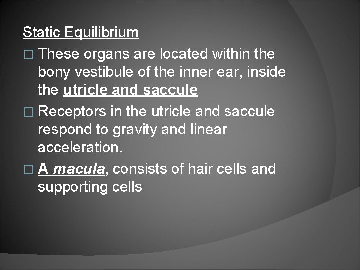 Static Equilibrium � These organs are located within the bony vestibule of the inner