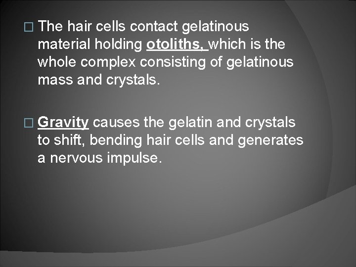 � The hair cells contact gelatinous material holding otoliths, which is the whole complex