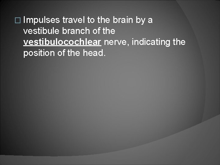 � Impulses travel to the brain by a vestibule branch of the vestibulocochlear nerve,