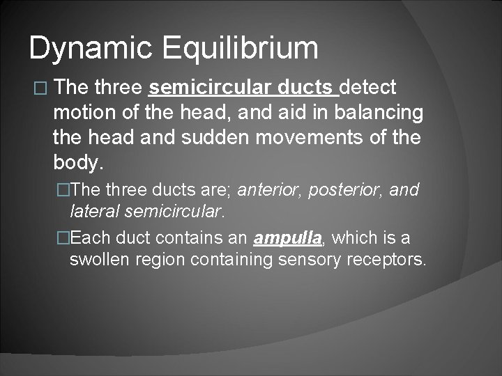 Dynamic Equilibrium � The three semicircular ducts detect motion of the head, and aid