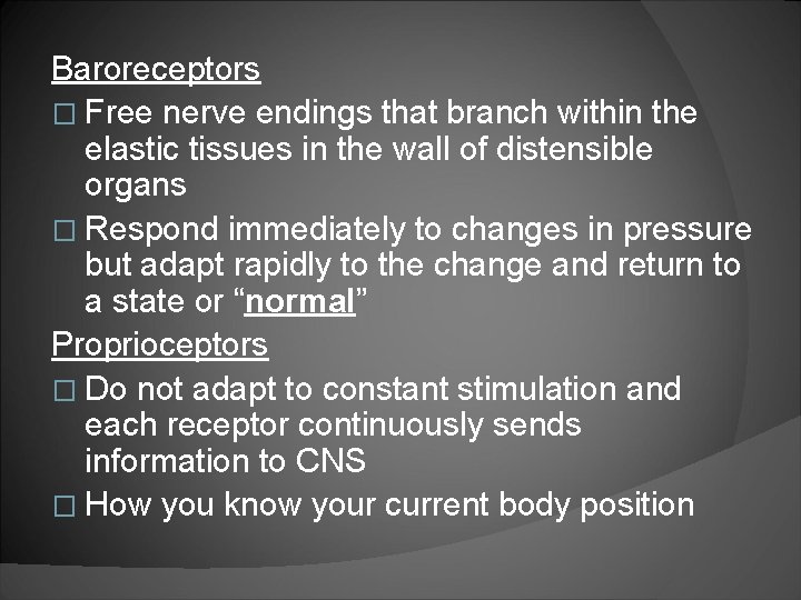 Baroreceptors � Free nerve endings that branch within the elastic tissues in the wall