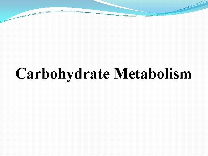 Carbohydrate Metabolism 
