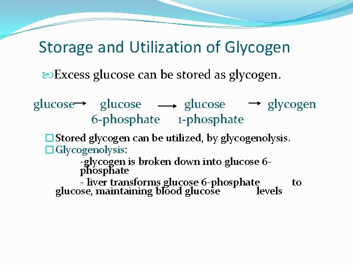 Storage and Utilization of Glycogen Excess glucose can be stored as glycogen. glucose 6
