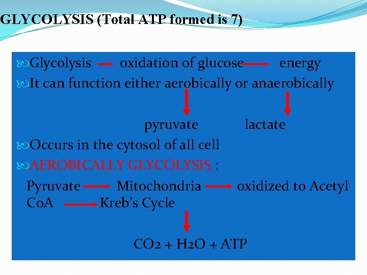 GLYCOLYSIS (Total ATP formed is 7) Glycolysis oxidation of glucose energy It can function