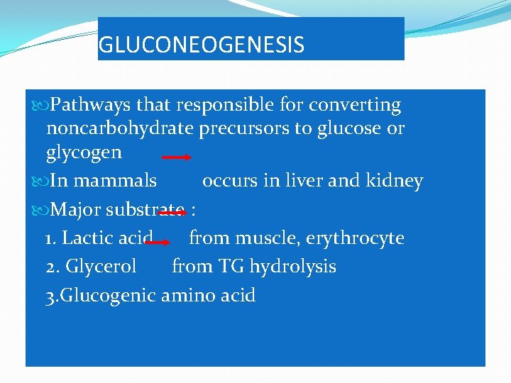 GLUCONEOGENESIS Pathways that responsible for converting noncarbohydrate precursors to glucose or glycogen In mammals
