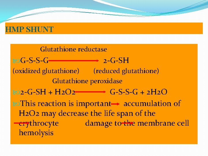 HMP SHUNT Glutathione reductase G-S-S-G 2 -G-SH (oxidized glutathione) (reduced glutathione) Glutathione peroxidase 2