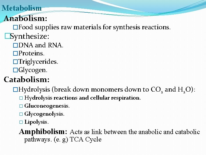 Metabolism Anabolism: �Food supplies raw materials for synthesis reactions. �Synthesize: �DNA and RNA. �Proteins.